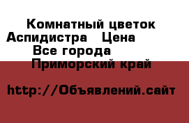 Комнатный цветок Аспидистра › Цена ­ 150 - Все города  »    . Приморский край